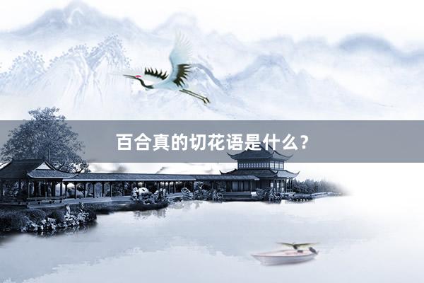 百合真的切花语是什么？