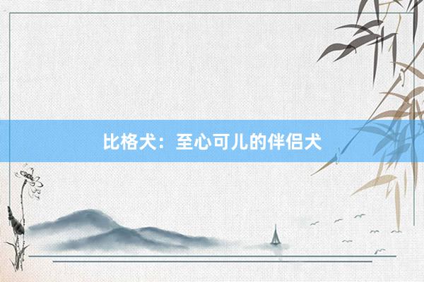 比格犬：至心可儿的伴侣犬